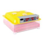 Electric 36 Egg Incubator Poultry Chicken Duck Quail Turkey Birds