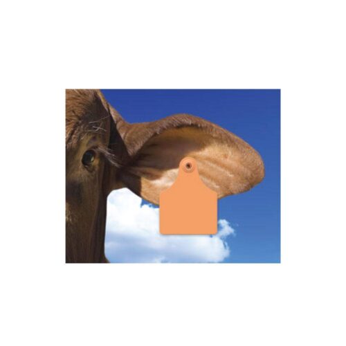 100x Cattle Ear Tags 7x10cm Set Large Orange Blank Cow Sheep Livestock Label - Image 2