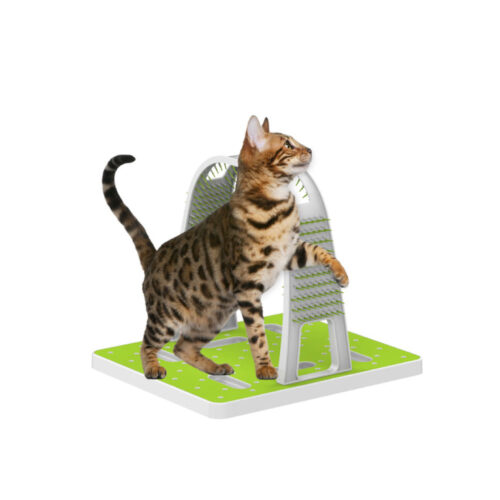 Cat Grooming Arch Intercative Self Groom Brush Scratcher Play All For Paws - Image 3