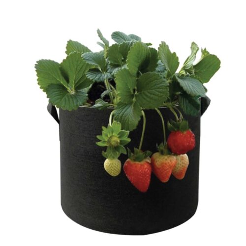 6 Pck 10 Gallon Fabric Flower Pots 38L Garden Planter Bags Black Felt Root Pouch - Image 3