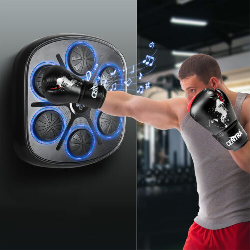 Centra Punching Box With 8 OZ Boxing Glove - Image 7