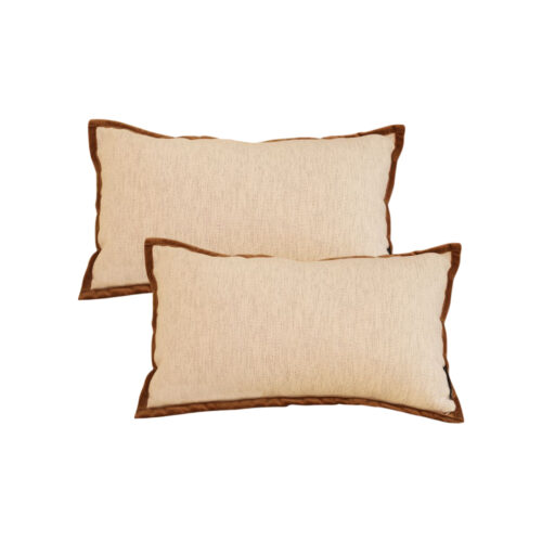 2x 30cm Pillow Vintage Cover Square Decorative Beautiful with Polyester Made Throw Pillow