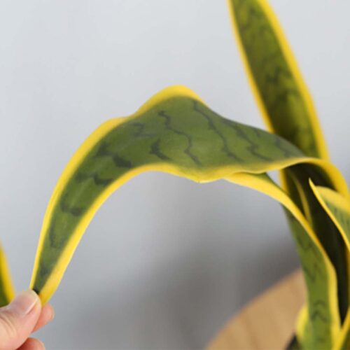 50cm Artificial Indoor Yellow Edge Tiger Piran Fake Decoration Tree Flower Pot Plant - Image 4