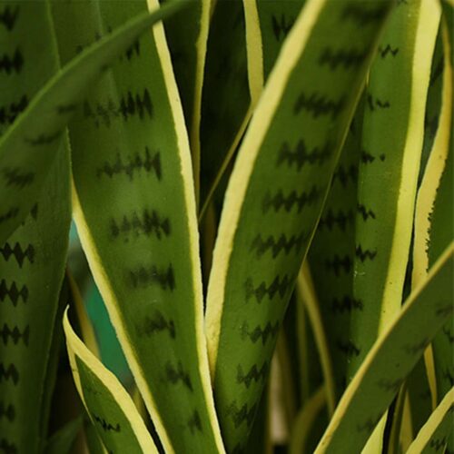 70cm Artificial Indoor Yellow Edge Tiger Piran Fake Decoration Tree Flower Pot Plant - Image 6