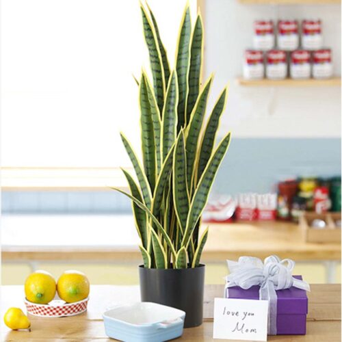 70cm Artificial Indoor Yellow Edge Tiger Piran Fake Decoration Tree Flower Pot Plant - Image 7
