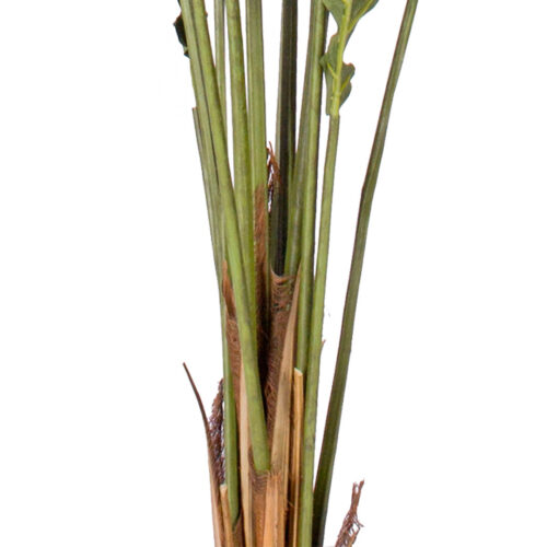 120cm Green Artificial Indoor Rogue Areca Palm Tree Fake Tropical Plant Decor - Image 7