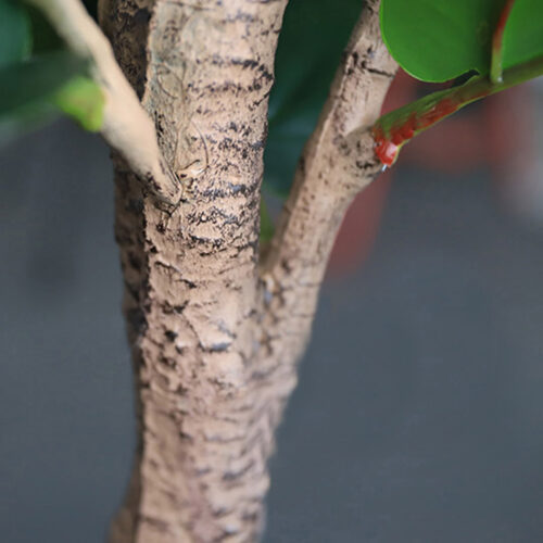 120cm Green Artificial Indoor Qin Yerong Tree Fake Plant Simulation Decorative - Image 5