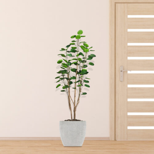 150cm Plastic Potted Polyscias Scutellaria Plant Home Garden Artificial Tree Decor - Image 5