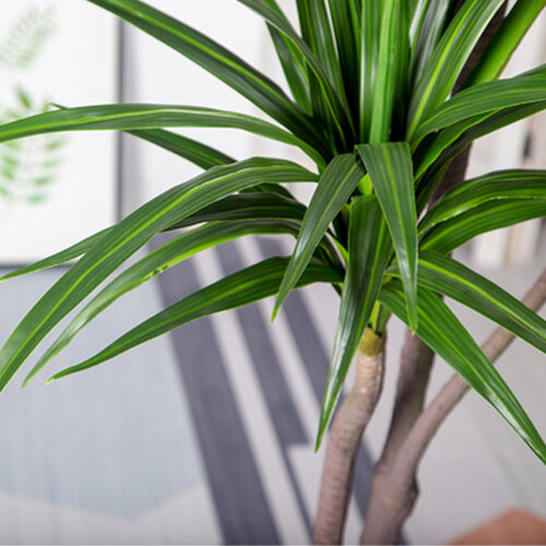 2x 180cm Green Artificial Indoor Brazlian Iron Tree Fake Plant Decorative 3 Heads - Image 5