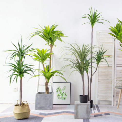 2x 180cm Green Artificial Indoor Brazlian Iron Tree Fake Plant Decorative 3 Heads - Image 8