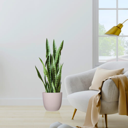 2x 97cm Sansevieria Snake Artificial Plants with Black Plastic Planter Greenery Decor - Image 4