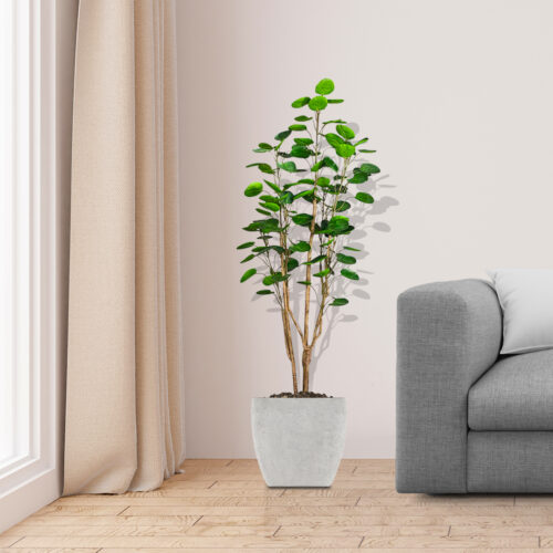2x 150cm Plastic Potted Polyscias Scutellaria Plant Home Garden Artificial Tree Decor - Image 4