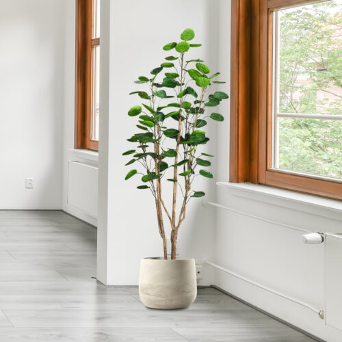 2x 180cm Plastic Potted Polyscias Scutellaria Plant Home Garden Artificial Tree Decor - Image 5