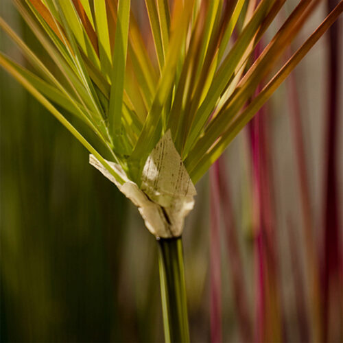 4x 120cm Green Artificial Indoor Potted Papyrus Plant Tree Fake Simulation Decorative - Image 6
