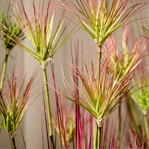 4x 120cm Green Artificial Indoor Potted Papyrus Plant Tree Fake Simulation Decorative - Image 7