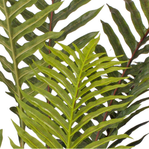 4x 180cm Artificial Green Rogue Hares Foot Fern Tree Fake Tropical Indoor Plant Decor - Image 5