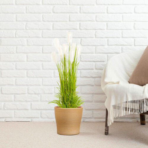 4x 150cm Wheat Plume Grass Artificial Plant Decor - Image 5