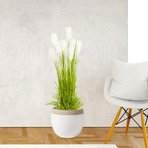 4x 150cm Wheat Plume Grass Artificial Plant Decor - Image 6