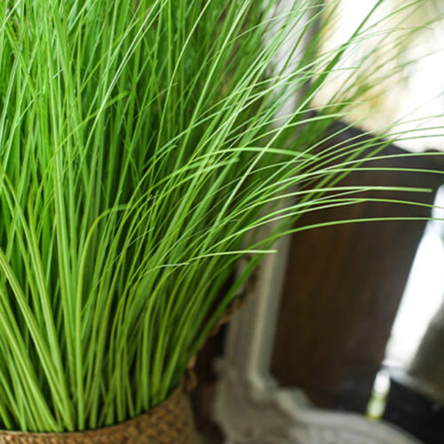 4x 110cm Artificial Indoor Potted Reed Bulrush Grass Tree Fake Plant Simulation Decorative - Image 6