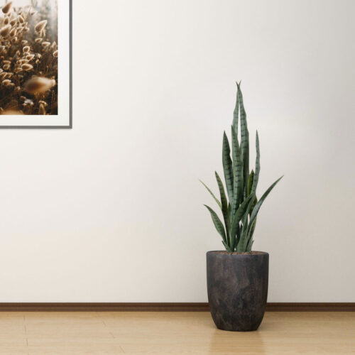 4x 95cm Sansevieria Snake Artificial Plants with Black Plastic Planter Greenery Decor - Image 4
