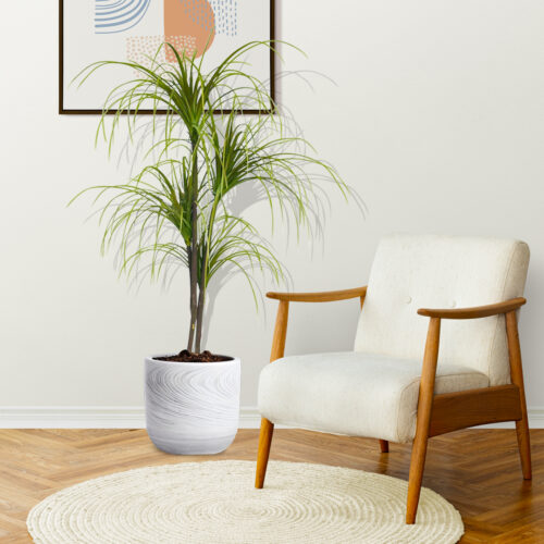 4x 150cm Artificial Dracaena Plant Fake Potted Simulation Tree Fake Plant Decor - Image 3