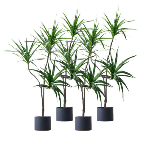4x 180cm Green Artificial Indoor Brazlian Iron Tree Fake Plant Decorative 3 Heads