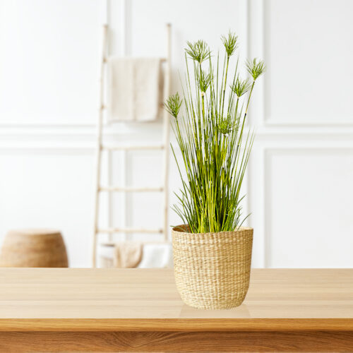 4x 150cm Cyperus Papyrus Plant Tree Artificial Green Grass Home Or Office Indoor Greenery Accent - Image 4