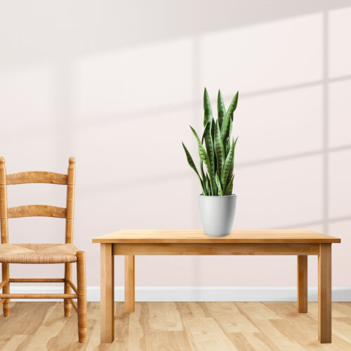 4x 97cm Sansevieria Snake Artificial Plants with Black Plastic Planter Greenery Decor - Image 4