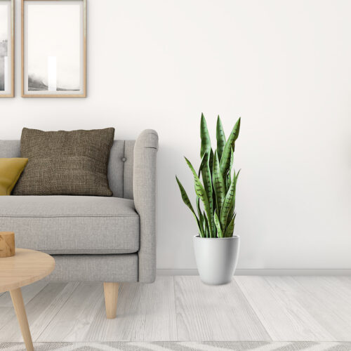 4x 97cm Sansevieria Snake Artificial Plants with Black Plastic Planter Greenery Decor - Image 5