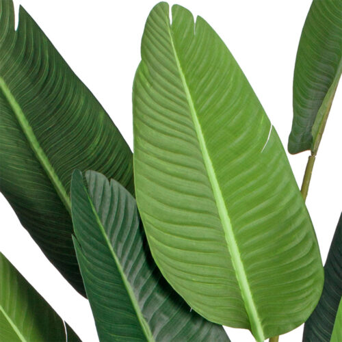 4x 245cm Artificial Giant Green Birds of Paradise Tree Fake Tropical Indoor Plant Decor - Image 5