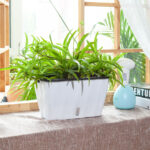 35cm Small White Flowerpot Vegetable Herb Flower Outdoor Plastic Box Garden Decor