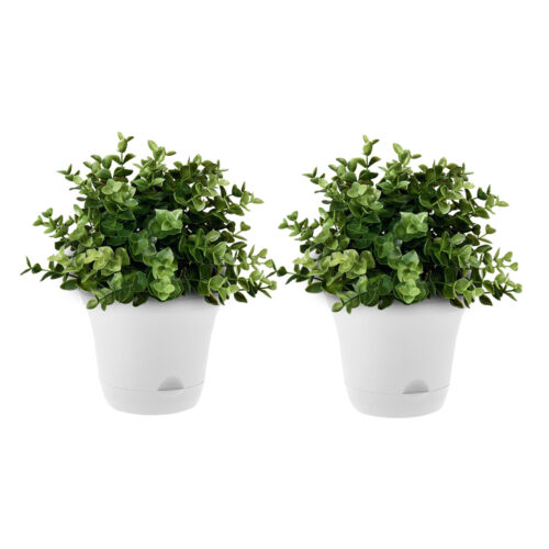 19.5 cm White Plastic Plant Pot Self Watering Planter Flower Bonsai Indoor Outdoor Garden Decor Set of 2