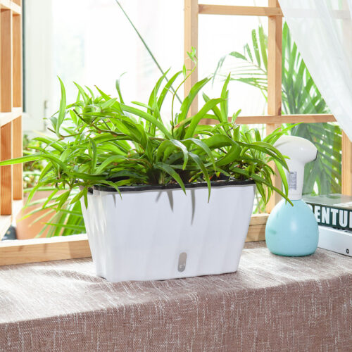 2x 35cm Small White Flowerpot Vegetable Herb Flower Outdoor Plastic Box Garden Decor - Image 4