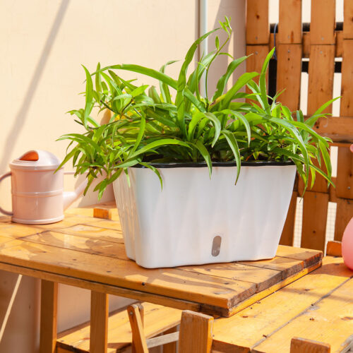 2x 35cm Small White Flowerpot Vegetable Herb Flower Outdoor Plastic Box Garden Decor - Image 5