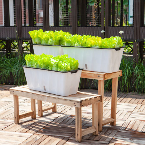 2x 35cm Small White Flowerpot Vegetable Herb Flower Outdoor Plastic Box Garden Decor - Image 7