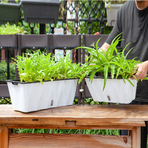 2x 35cm Small White Flowerpot Vegetable Herb Flower Outdoor Plastic Box Garden Decor - Image 9