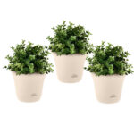 19.5 cm Plastic Plant Pot Self Watering Planter Flower Bonsai Indoor Outdoor Garden Decor Set of 3