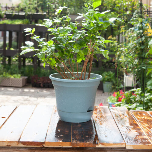 19.5 cm Blue Plastic Plant Pot Self Watering Planter Flower Bonsai Indoor Outdoor Garden Decor Set of 3 - Image 2