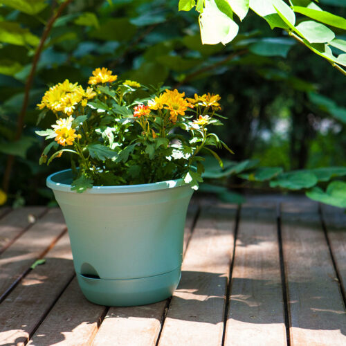 19.5 cm Blue Plastic Plant Pot Self Watering Planter Flower Bonsai Indoor Outdoor Garden Decor Set of 3 - Image 4