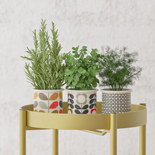 2 Layer 50cm Gold Metal Plant Stand Flower Pot Holder Corner Shelf Rack Display - Image 7