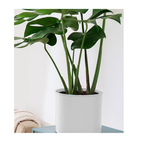 2x 80cm Tripod Flower Pot Plant Stand with White Flowerpot Holder Rack Indoor Display - Image 6