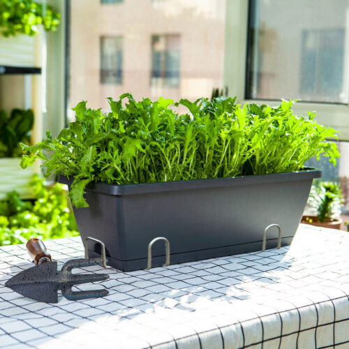 49.5cm Black Planter Vegetable Herb Flower Outdoor Plastic Box with Holder Balcony Garden Decor Set of 2 - Image 3