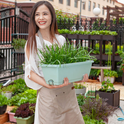 49.5cm Green Planter Vegetable Herb Flower Outdoor Plastic Box with Holder Balcony Garden Decor Set of 2 - Image 2
