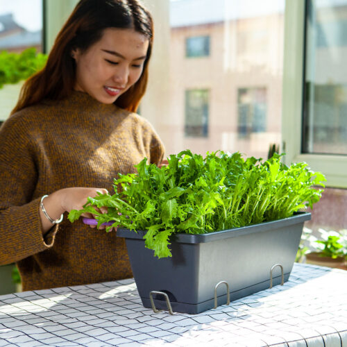 49.5cm Black Planter Vegetable Herb Flower Outdoor Plastic Box with Holder Balcony Garden Decor Set of 3 - Image 2