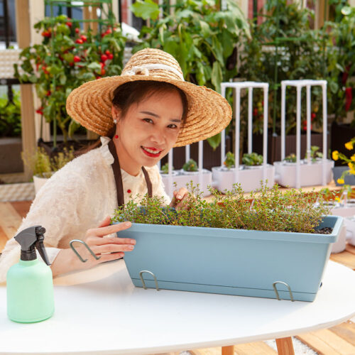 49.5cm Blue Planter Vegetable Herb Flower Outdoor Plastic Box with Holder Balcony Garden Decor Set of 3 - Image 3