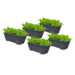 49.5cm Black Planter Vegetable Herb Flower Outdoor Plastic Box with Holder Balcony Garden Decor Set of 5