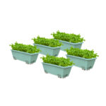 49.5cm Green Planter Vegetable Herb Flower Outdoor Plastic Box with Holder Balcony Garden Decor Set of 5