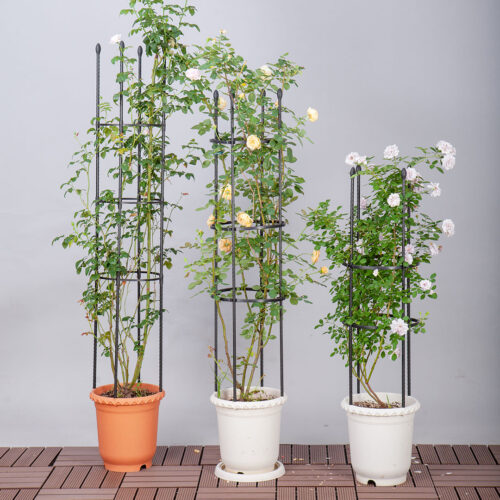 133cm 4-Bar Plant Frame Stand Trellis Vegetable Flower Herbs Outdoor Vine Support Garden Rack with Rings - Image 4