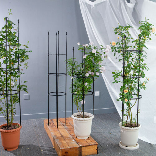 133cm 4-Bar Plant Frame Stand Trellis Vegetable Flower Herbs Outdoor Vine Support Garden Rack with Rings - Image 7