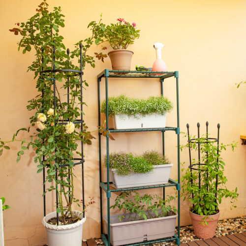 133cm 4-Bar Plant Frame Stand Trellis Vegetable Flower Herbs Outdoor Vine Support Garden Rack with Rings - Image 9